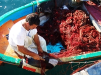 Fisherman working