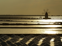 Marsala - Salt flats at sunset