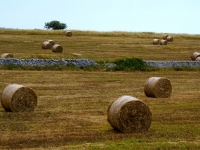 Ragusa - Countryside