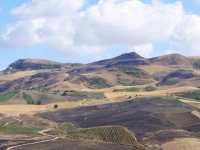 Sicilian countryside