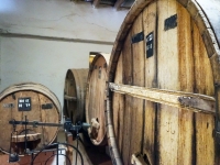Etna winery